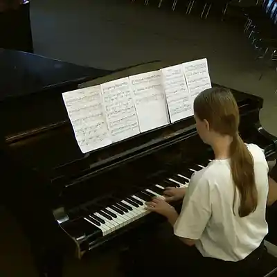 Picture for song 'Canon in D: 4 Hands Piano Arrangement' by artist 'Dustin Naegel'