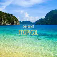 Picture for song 'Tropical' by artist 'EKM Beats'
