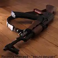 Picture for song ' peacemaker ' by artist 'Leonid Minaev'