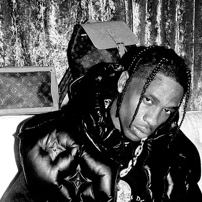Picture for song 'TRAVIS SCOTT TYPE BEAT - INSANE' by artist 'prod. anonimumn'