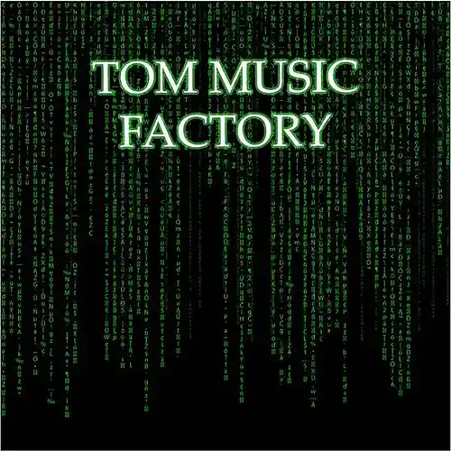 Picture for song 'Guitar and Cymbals' by artist 'Tom Music Factory'