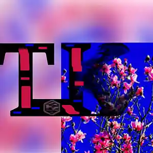 Picture for song 'spring chill' by artist 'Tay-Kanic Productions'