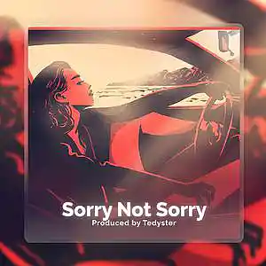 Picture for song 'Sorry Not Sorry - Indie Rock' by artist 'TEDYSTER'