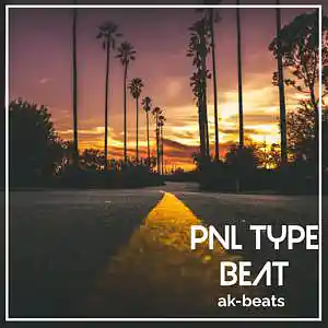 Picture for song 'PNL Type Beat (Buy 1 Get 2 Free)' by artist 'ak-beats16'