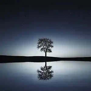 Picture for song 'Reflections' by artist 'Keith Theodosiou'