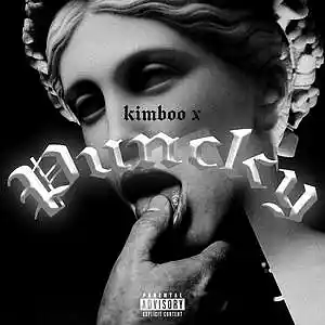 Picture for song 'puncky' by artist 'Kimboo X'