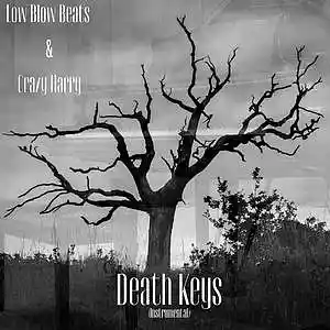 Picture for song 'Death Keys' by artist 'Low Blow Beats'