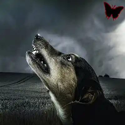 Picture for song 'Ombres et Reflets' by artist 'Mille-Feuille'