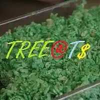 Picture for song 'TREE@T$ (prod P x TTY) (160 bpm)' by artist 'P x TTY'