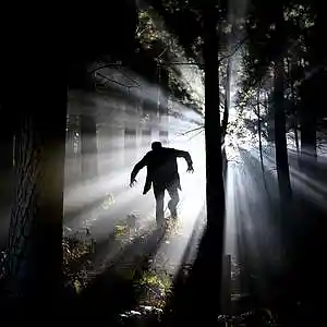 Picture for song 'Mugged By My Emotions (feat. MonLee Mane)' by artist 'Round The Globe'