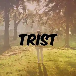 Picture for song 'Trist 88bpm' by artist 'Samuel Jameza'