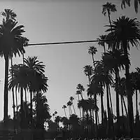 Picture for song 'New Era (west coast type)' by artist 'TroubledBeatz'