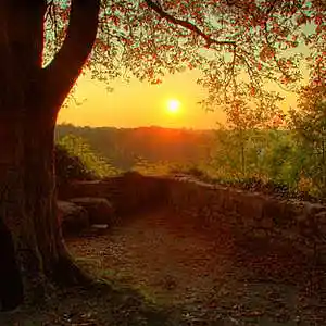 Picture for song 'Callie' by artist 'WisperBeats'