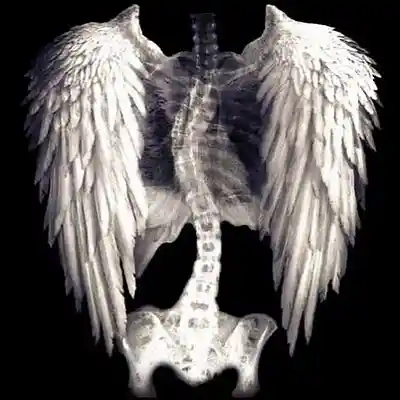 Picture for song 'angelic essence' by artist 'drama collection'