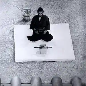 Picture for song 'Harakiri' by artist 'Icarusbeats'