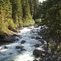 Picture for song 'River Over You' by artist 'LooneyManSlayedIt'