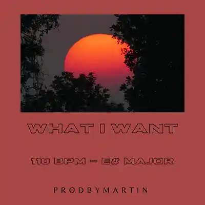 Picture for song '"What I want" - R&B x Soulful Trap Type Beat' by artist 'ProdbyMartin'