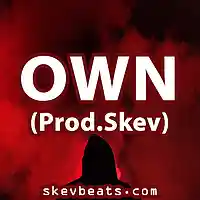 Picture for song 'Dark Hip Hop Beat - OWN (Prod Skev)' by artist 'Skev Beats'