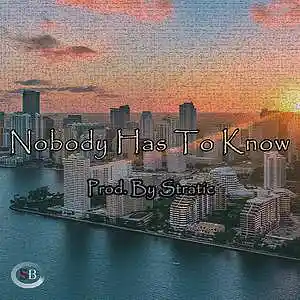 Picture for song 'Nobody Has To Know_Bb Phrygian (Prod. Stratic)' by artist 'Stratic Beats'