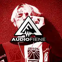 Picture for song 'Places' by artist 'Audio Fiene'