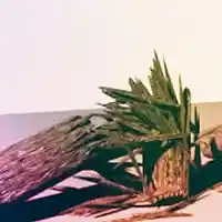 Picture for song 'DEMACIADO reggaeton beat 93bpm 4-7-18 tagged' by artist 'FINEST REGGAETON BEATS'