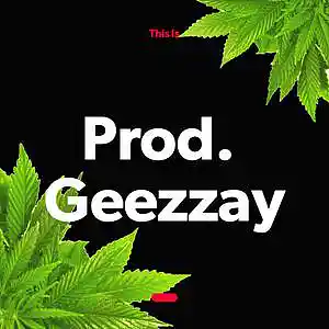 Picture for song 'Killer Whales (Prod. Geezzay)' by artist 'Geezzay'