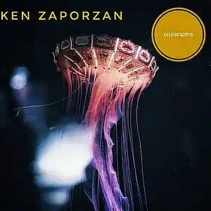 Picture for song 'ka/lei/do/scop/ic' by artist 'Ken Zaporzan'