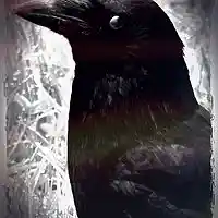 Picture for song 'im gonna see you fall' by artist 'mark bennett'