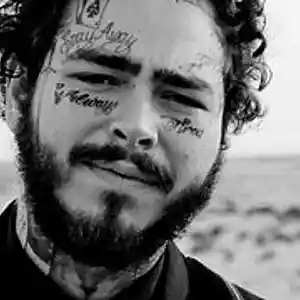 Picture for song 'Post Malone Type Trap 2019' by artist 'NB ReKordz'