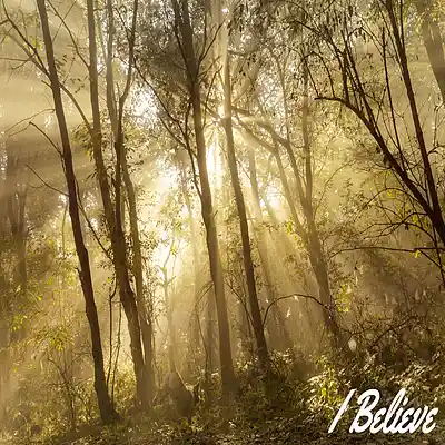 Picture for song 'I Believe' by artist 'Sean Ferree'