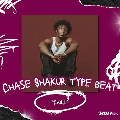 Picture for song ''Chill' - Chase Shakur x Brent Faiyaz Type Beat' by artist 'Smooth PDC'
