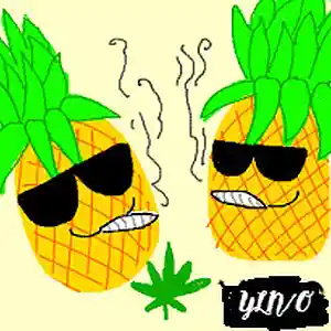 Picture for song 'START UP A SER 2 YLN SC' by artist 'YLN ONDerFuL'