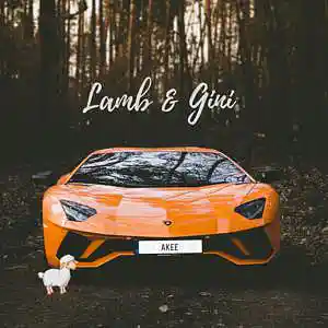 Picture for song 'LAMB & GINI' by artist 'AkeeBeats'
