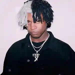 Picture for song 'MEDS' by artist 'DAN MVSON'