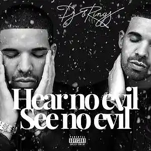 Picture for song 'Hear no evil see no evil' by artist 'DJ 6 RINGS'