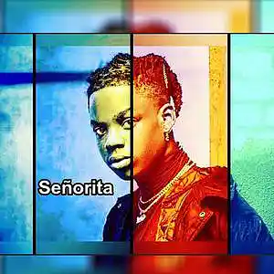 Picture for song 'Señorita - Rema x Afrobeat Instrumental' by artist 'DR MAFIA BEATS'