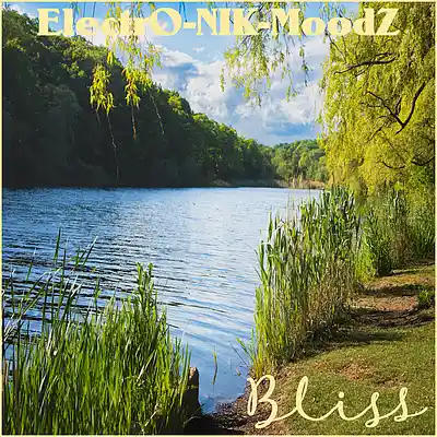 Picture for song 'Bliss' by artist 'ElectrO-NIK-MoodZ'