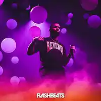 Picture for song 'More Life' by artist 'FlashBeats.net'