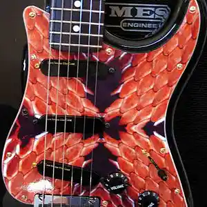 Picture for song 'Pretzel Logic' by artist 'Homoerectus (AUS)'