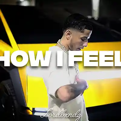 Picture for song '[FREE] Lil Tjay x J.I Type Beat &ldquo;HOW I FEEL A Boo' by artist 'LORDBXNDZBEATS II'
