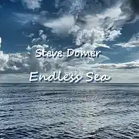 Picture for song 'Endless Sea' by artist 'Steve Domer'