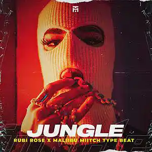 Picture for song 'Jungle' by artist 'TEDYSTER'