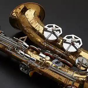 Picture for song 'Hard Sax *BUY 1 GET 1 FREE*' by artist 'Vape D'