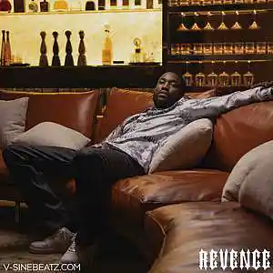 Picture for song 'Revenge (Buy 1 Get 1-3 FREE)' by artist 'V-Sine Beatz'