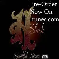 Picture for song 'Say You Do Pre-order On Itunes Now' by artist 'hblack'