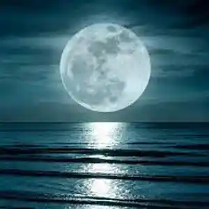 Picture for song 'Get a Little Moon' by artist 'Johanna Renfro'