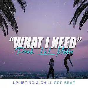 Picture for song ''What I Need ' BUY TWO GET FOUR FREE' by artist 'LiL Medic Beats'