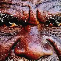 Picture for song 'Indigenios People of Australia - The Aboriginals' by artist 'Peter Kosta's Galaxy Rock Band'