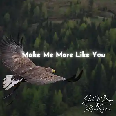 Picture for song 'Make Me More Like You' by artist 'Richard Shekari'