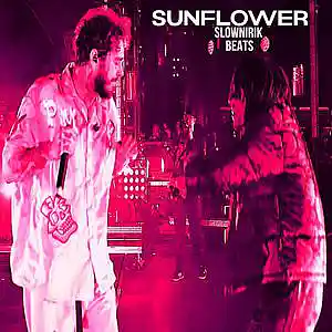 Picture for song 'Sunflower' by artist 'Slownirik'